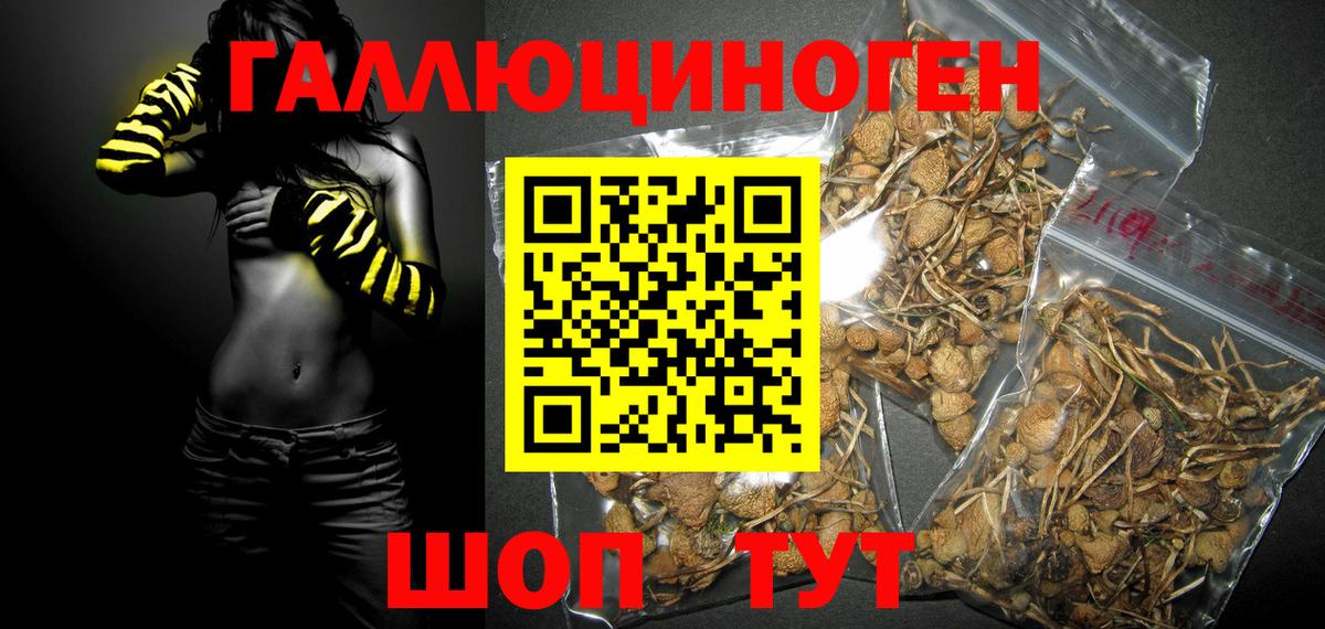 Псилоцибиновые грибы Magic Shrooms  Галлюциногенные грибы ЛСД  Томск  Вход с VPN 