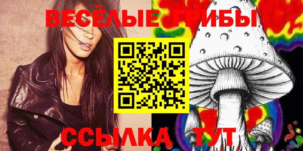 Псилоцибиновые грибы Cubensis Томск